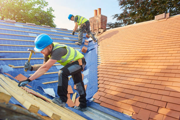 Best Storm Damage Roof Repair  in Shinnston, WV